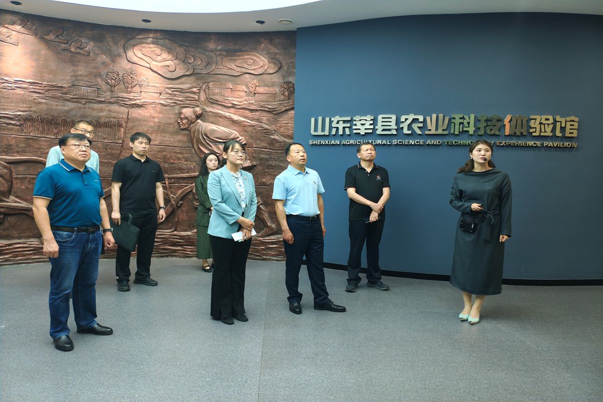 正规博彩平台